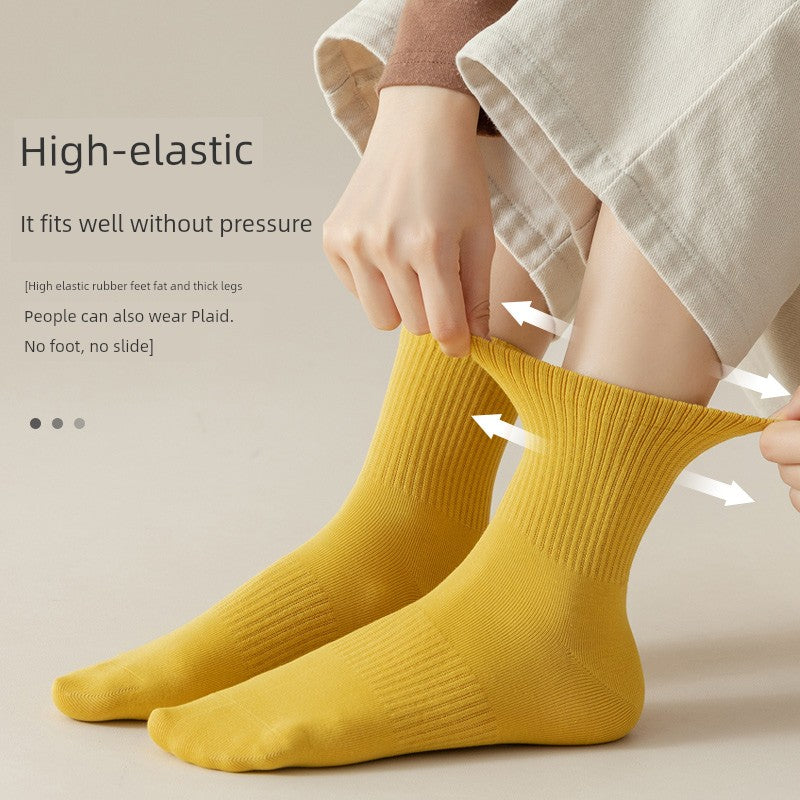 S3133b8d3a8244150bcb2d0c1c80f89d8l