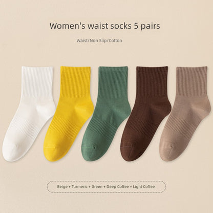 S9e451c48dc954db089231eb43c34e6c1r